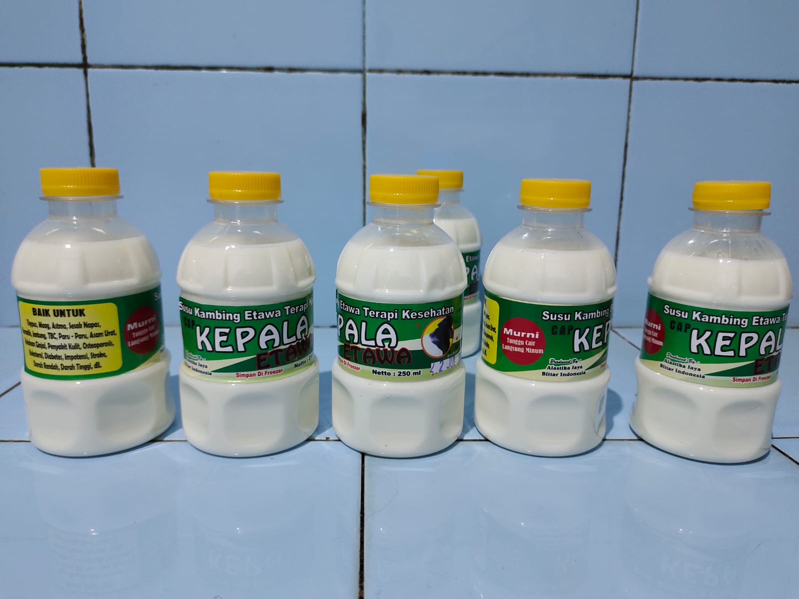 Susu Kambing Etawa