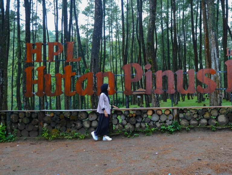 hutan pinus loji